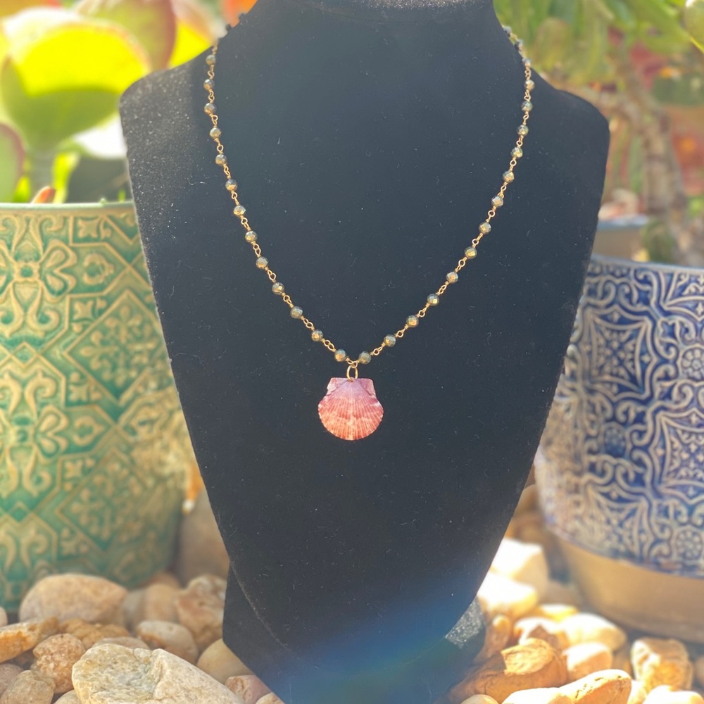 Natural Seashell Pendant & Necklace